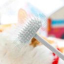 그루밍솔 이미지