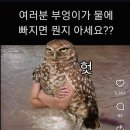 숯골 그집 쭈꾸미 이미지