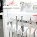 24시센트럴동물메디컬센터 | 성동구 행당동 동물병원 24시센트럴동물메디컬센터 위치 오는길 후기