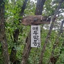 제천식육점 - 제천시 풍양로 108 | 제천 오지산행(매두막봉~하설산~어래산)