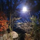 리도안경 이미지