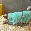 데일리 멍키친 이미지