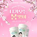 디데이스토어