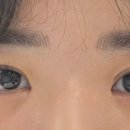 에스에이치의원 이미지