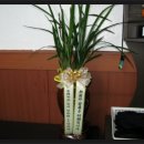 스포츠 당구장 이미지