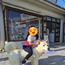 서리풀문화광장 공중화장실 | 울산 아이랑가볼만한곳 장생포고래문화마을 관람 후기 (입장료 주차)