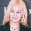 블랙벌