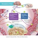 프라임 동물의료센터 이미지