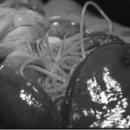 서울수유동물약국 이미지