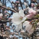 서종의 아침 이미지