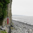 제주 올레길 8코스 이미지