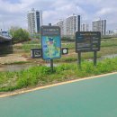 중랑천변4(녹천교) 이미지