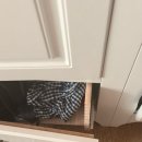 아베크 락 | 힘쎈여자 도공순