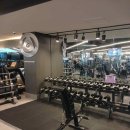 영앤짐 헬스&PT 광명하안점 | 하안동 최대규모 400평의 넓고 핫한 하안동 헬스장 영앤짐 헬스&amp;PT 광명하안점