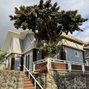 사라보래 이미지