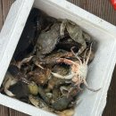 가경주로뎀펜션 네이버블로그