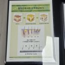동방빌딩별관(관리실) | 부산 남포동두피센터 스마일피부탈모센터 두피관리 리얼후기
