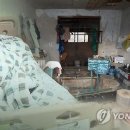 송치농장 이미지