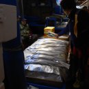 제주동문수산시장 티스토리