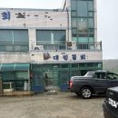 경주 감포 맛집 현지인 노포 물회 맛집으로 추천하는 / 대림물회 내돈내산 후기!