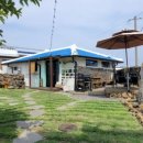 빈도롱이가 이미지