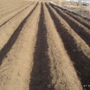 단비농장 이미지