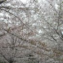 옥란3농장 이미지