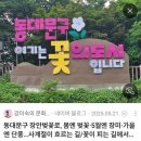 닥터팔팔플러스중랑 | [서울/중랑구/여름 산책 1탄] 손목닥터9988+로 최애 아이스크림 먹은 썰(!?) feat.중랑천