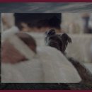 산청금서관광지 이미지