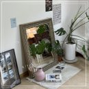 스테이브릴 이미지