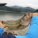 동화나라 | 안동 배스 낚시 꽝 → 권정생 동화나라 방문 후기
