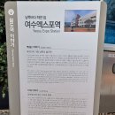 오동도유람선 이미지