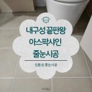 샤인 | 창원 진해 아스팍샤인 고급 줄눈후기