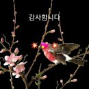 2025.5.15.목요일09시.전국공무원연금관리공단주체,서울시우산악회.참가자,선수명단제출. 이미지