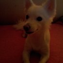 하이마트 앞 이미지