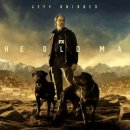 머리끄댕이 이미지