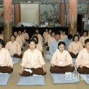 스테이종이와나무 이미지