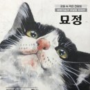별밤미술관 in 선운 이미지