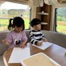 단양생태체육공원 2 이미지