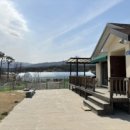 베일리하우스애견펜션 | [강릉애견펜션] 강릉 사천에 자리잡고 있는 베일리하우스애견펜션 방문 후기