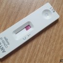 ANYLAB(애니랩) 이미지