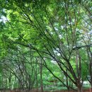 녹번서근린공원 이미지