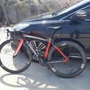 씨젤리피쉬 이미지