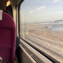 마       한       관 | 260216-22 연휴야 가지마