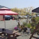 청도아리아펜션 이미지