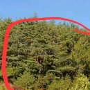 재산면사무소 이미지