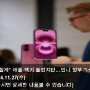 애플박사 이미지