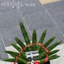 러브림꽃&카페