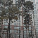 현대일산SYSTEM