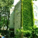 솔향기하우스 이미지